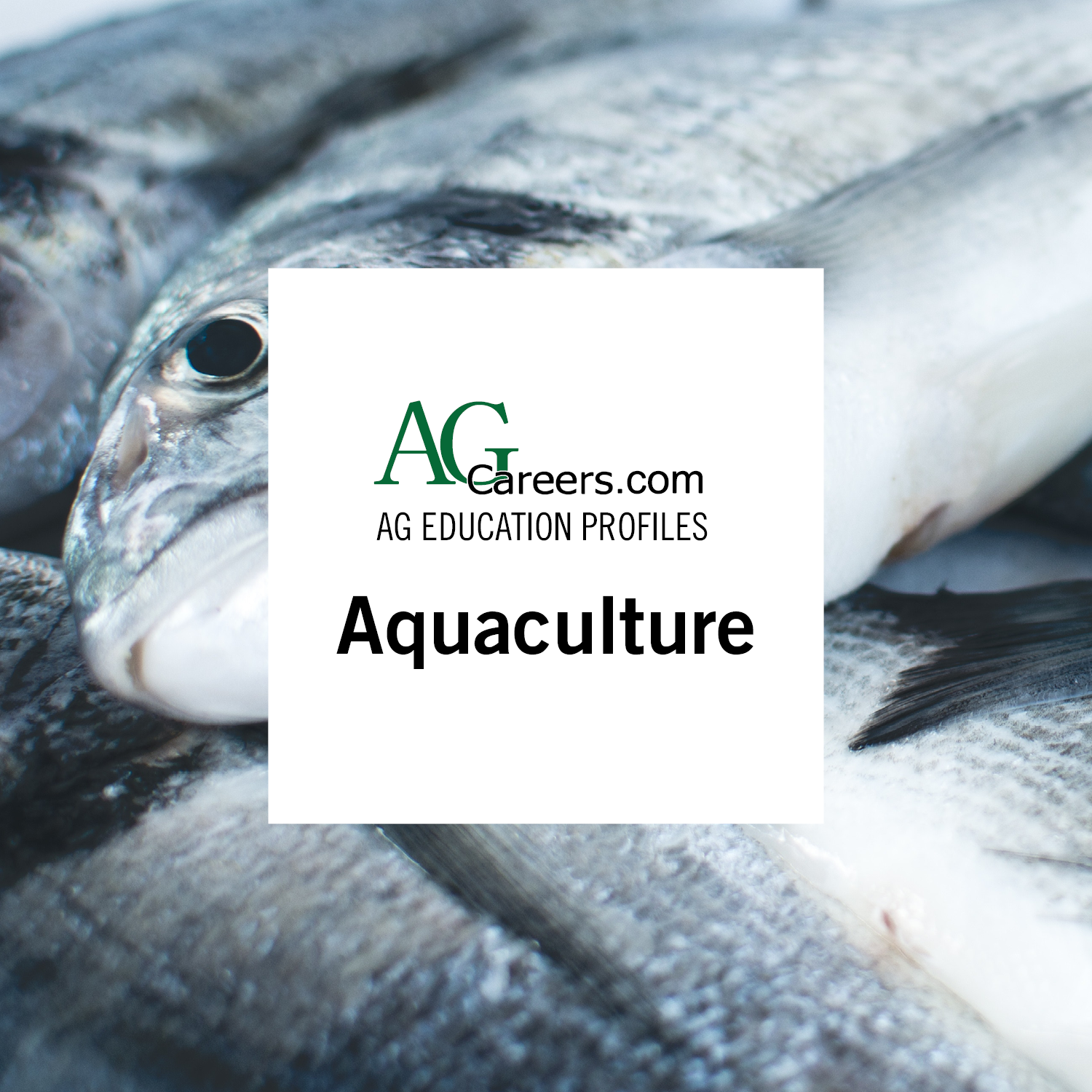 Aquaculture | Education Profile | AgCareers.com