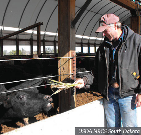 Beef Farm Worker | Career Profile | AgCareers.com